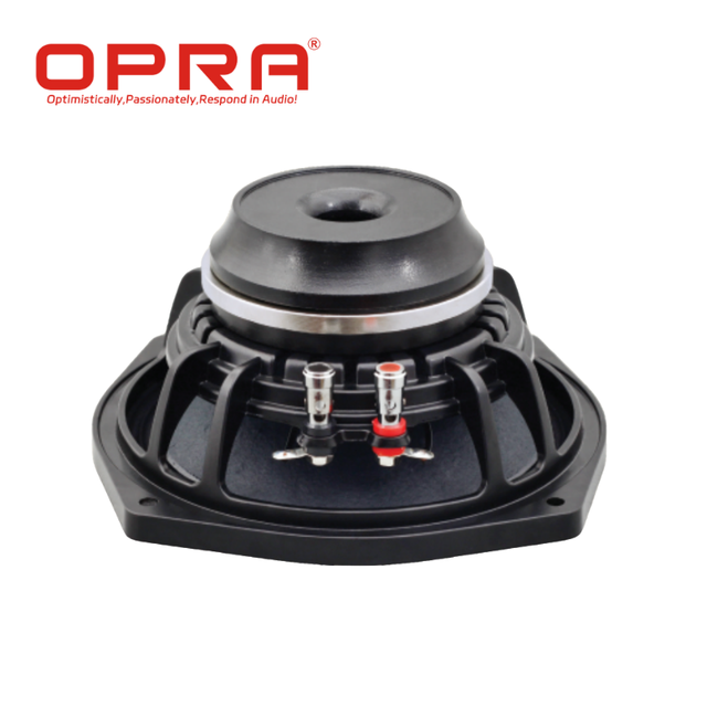 6.5-Inch 8 Neodymium Mid-Bass Woofer Speaker Driver 200W AES 400W Max 2" Voice Coil Hi-Res Audio for Professional PA Systems