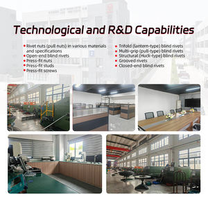 Alta Resistência Estrutural Blind Rivet Azul Branco Zinco Lanterna Rebites para Fixação Setor Industrial - Product Image 2