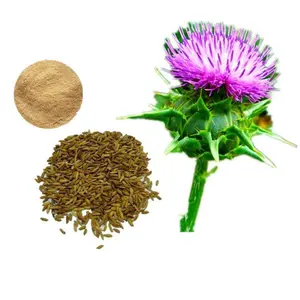 Free Sample 100% Pure Botanical 30% Silybinin 80% Silymarin Supplement Blessed Thistle Extract Powder