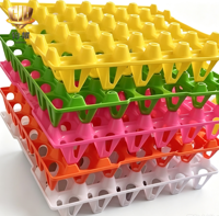 Boîtes d'emballage en plastique pour 30 œufs, plateaux à œufs de canard, plateaux à œufs en plastique colorés pour la vente au détail en supermarché