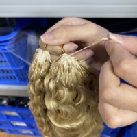 Cheveux humains vietnamiens 100 % naturels, prix de gros, pour tresses, bouclés birmanes 613 #   Plumes au crochet pour cheveux