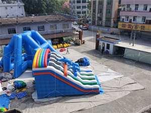 Équipement d'amusement Glissière d'eau <span class=keywords><strong>gonflable</strong></span> petit dauphin à double voie <span class=keywords><strong>pour</strong></span> <span class=keywords><strong>piscine</strong></span> <span class=keywords><strong>hors</strong></span> <span class=keywords><strong>sol</strong></span> - Product Image 3