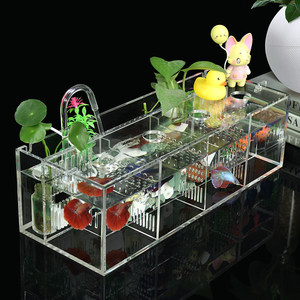 Boîte d'isolement pour la reproduction des poissons tétra, acrylique ultra-blanc, petite, de bureau, sans changement d'eau, combinaison créative écologique - Product Image 1