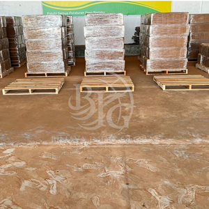 บล็อกใยมะพร้าว Low-EC เป็นมิตรต่อสิ่งแวดล้อม 100% ออร์แกนิค คุณภาพสูง ดูดซับน้ำได้ดี วัสดุเพาะปลูกที่ทำจากเปลือกมะพร้าวธรรมชาติ 100% - Product Image 3