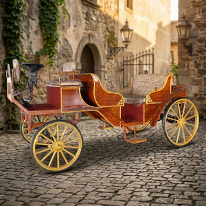 Carruaje Eléctrico en Venta, Carruaje para Bodas y Turismo, Vehículo con Ruedas Estilo Carruaje de Caballos, Carruaje Vintage Tipo Calabaza - Product Image 1