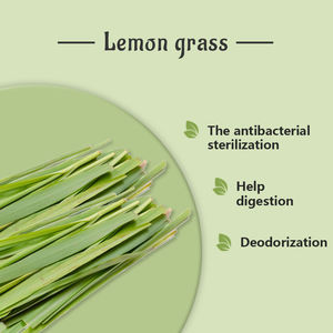 シンボポゴンシトラタスオイル | レモングラスオイル | モスキート忌避剤用有機レモングラスエッセンシャルオイル、アロマディフューザー | OEM 10mL - Product Image 2