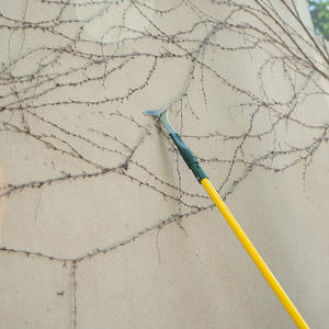 Outil <span class=keywords><strong>de</strong></span> jardin en acier inoxydable <span class=keywords><strong>de</strong></span> haute qualité avec manche en PP, élimine efficacement les mauvaises herbes et la <span class=keywords><strong>mousse</strong></span> avec un couteau à mauvaises herbes pour une utilisation en patio et au jardin - Product Image 5