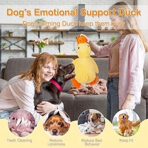 Dayanıklı, Etkileşimli, Isırmaya Dayanıklı, Sesli, Yumuşak Peluş Ördek Oyuncak - Küçük/Orta Boy Köpekler İçin - Çoklu Boyutlarda, Çiğneme, Diş Bakımı, Uyku, Oyun - Product Image 2