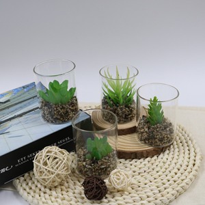 Plantas cuadradas en macetas <span class=keywords><strong>de</strong></span> madera maciza con una variedad <span class=keywords><strong>de</strong></span> suculentas, decoración <span class=keywords><strong>interior</strong></span> <span class=keywords><strong>de</strong></span> boda moderna personalizada, Mini bonsái - Product Image 1