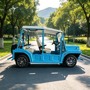 Les voitures classiques personnalisées en usine sont disponibles dans une variété de styles. Voitures classiques Jeep et voitures électriques/bus touristiques - Product Image 3