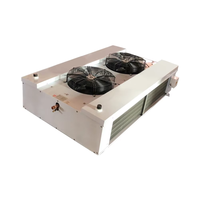 Beifeng Fabrieksleverancier Dh Dubbelzijdige Blaas Commerciële Verdamper Luchtkoeler Ventilator Verdamper Giet Voor Vriezer Kamer
