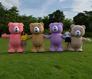 Vente en gros d'usine, prix bas, <span class=keywords><strong>mascotte</strong></span> en peluche en fourrure d'ours en peluche personnalisée pour les costumes de <span class=keywords><strong>mascotte</strong></span> de personnage de dessin animé - Product Image 4