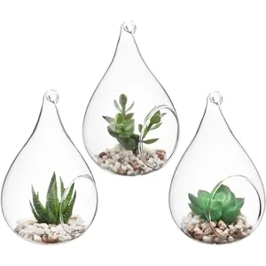 Glazen Terrarium Sappige Lucht Plant Terrarium Groothandel Handgeblazen Traankristal Desktop Europa Vakantie Glazen Vaas Traditioneel