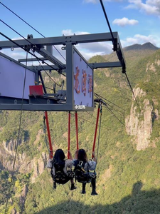 Balançoire élastique <span class=keywords><strong>du</strong></span> <span class=keywords><strong>diable</strong></span> - Product Image 6