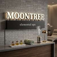 Enseigne lumineuse LED personnalisée pour intérieur, lettres en acrylique éclairées par l'avant, base en acier inoxydable, enseigne de réception pour hôtel, spa