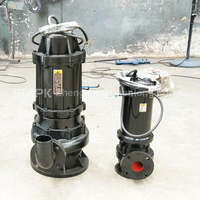 Pompe submersible à faible débit personnalisée 1500W 2000w 2200w 3000w 4000w Pompes primaires pour eau sale de puisard pour égout
