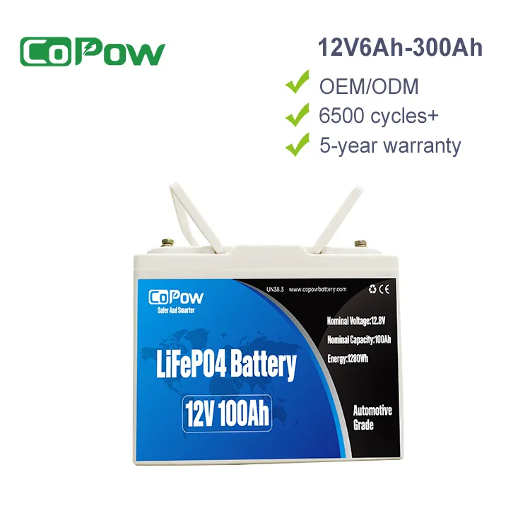 CoPoW 12v 리튬 배터리 24V 36V 80Ah 100Ah 120Ah 240Ah 320Ah 12v lifepo4 배터리 48v RV 마린 12v lifepo4 리튬 배터리