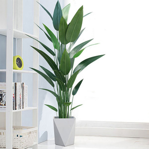 Plante artificielle en pot en soie, type Canna Lily, style Bonsaï, pour salon, 110cm, 140cm, 160cm, 180cm, 210cm - Product Image 2