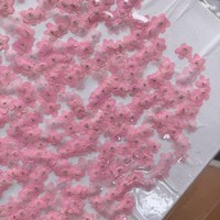 50 Pièces de Fleurs Séchées de Myosotis, Naturelles et Véritables, Bleues, pour Artisanat, Décoration et Remplissage de Cadeaux