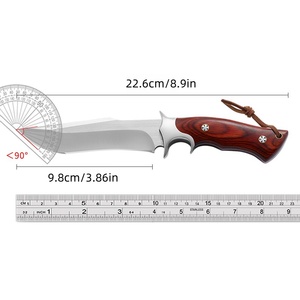 <span class=keywords><strong>Lion</strong></span> King M390 acciaio integrato ad alta durezza, affilato e durevole coltello dritto strumento di sopravvivenza all'aperto - Product Image 6
