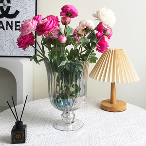 <span class=keywords><strong>Vase</strong></span> <span class=keywords><strong>en</strong></span> <span class=keywords><strong>verre</strong></span> français haut <span class=keywords><strong>de</strong></span> gamme, créatif, à large ouverture et <span class=keywords><strong>pied</strong></span> haut, <span class=keywords><strong>en</strong></span> <span class=keywords><strong>forme</strong></span> <span class=keywords><strong>de</strong></span> tasse, pour la décoration <span class=keywords><strong>de</strong></span> salon et <span class=keywords><strong>de</strong></span> la maison - Product Image 4
