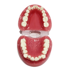 Modèle anatomique orthodontique de malocclusion en PVC, modèle de formation dentaire - Product Image 1