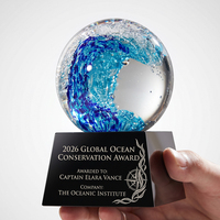 Trophée en cristal style Nobel pour le surf, base transparente, récompense d'excellence d'entreprise, reconnaissance des employés - Vente chaude