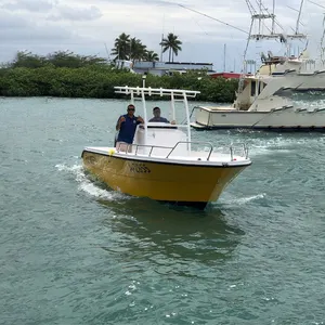 Motor de pesca asequible de 24 pies, superyates de lujo, lancha rápida clásica de fibra de vidrio con precios