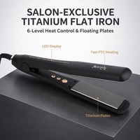 Lisseur Électrique Portable Professionnel OEM en Nano-Titane à Chauffage Rapide pour Hôtels, Marque Privée Personnalisée