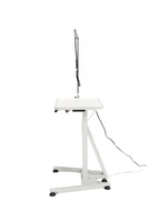 Table de toilettage électrique pour animaux de compagnie YM-AW-202, télécommandée, en acier inoxydable, silencieuse, avec charge sécurisée, mode mémoire et levage électrique