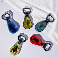 Décapsuleur en résine personnalisé OEM ODM avec spécimen d'insecte (scorpion, guêpe) en ambre époxy, cadeau souvenir, décoration de bar