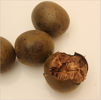 Fruit de moine d'herbes séchées biologiques de qualité supérieure Luo Han Guo Momordica Grosvenori