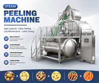 Industriële stoomschilmachine voor aardappel- en groenteverwerking |   Automatische schiller met hoge capaciteit