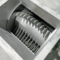 Fruit- en groentesapcentrifuge, commerciële schroefpers voor wortelen, kurkuma, sinaasappels, gember, knoflook, kleine ui, ananas