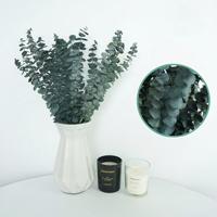 Daun Eucalyptus Alami Terawetkan Desain Koin Tembaga-Bentuk Daun Bulat 100g Bundel untuk Dekorasi Rumah, Dekorasi Kamar Mandi, untuk Pernikahan/Pesta