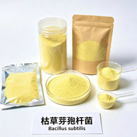 Bacillus Subtilis 100 Mil Millones de UFC/g, Aditivo para Alimento de Pavos Ponedores, Enzimas para Maximizar la Producción, Mejora la Digestión del Alimento, Cría de Pavos Ponedores