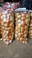 Sac tissé en PP transparent 80kg pour les tomates
