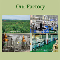 Huile parfumée à la lavande longue durée, concentrée, naturelle, faite à la main, pour la fabrication de bougies en cire de soja, huile parfumée pour parfum et savon