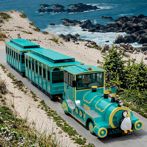 Treno turistico senza binari a 72 posti a forma di animale, pullman per passeggeri e bambini, autobus natalizio, prezzo, treno da esterno - Product Image 1