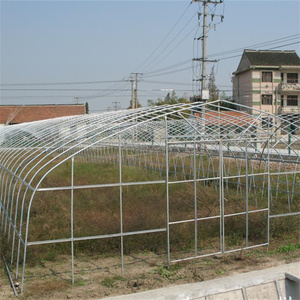 Invernadero de Túnel Alto Agrícola de Nave Única con Película de PE y Sistema de Estructura de Acero Galvanizado en Caliente para Clima Cálido - Product Image 5