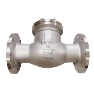 New Customized Flange Check Valve High Quality Stainless Steel Swing Check Valve