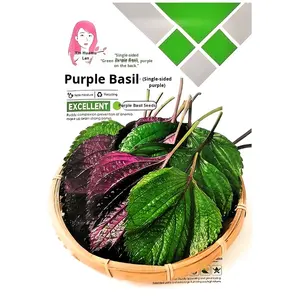 ผักสี่ฤดู อัตราการงอกสูง สำหรับกะหล่ำปลีจีน รุ่น BB436 ผลิตในจีน ขายส่งจากฟาร์มเพื่อความเจริญรุ่งเรือง - Product Image 4