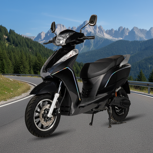 Motocicletta Elettrica per Uso Quotidiano 1000W con Corpo Compatto e Sospensioni Confortevoli - Product Image 1