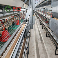 Offre Spéciale : Distributeur Automatique de Nourriture pour Poulets, Équipement d'Élevage Avicole, Cage à Batterie pour Poulets de Chair (10 000 oiseaux), Durable et Stable