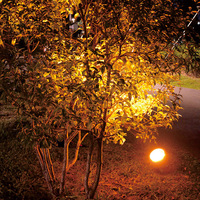 Projecteur LED en aluminium moulé sous pression Highlux, angle réglable, projecteurs LED pour éclairage extérieur, parc, pelouse, jardin
