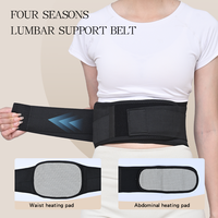 Ceinture lombaire élastique ajustable pour la taille, idéale pour l'intérieur et l'extérieur – Vente en gros usine