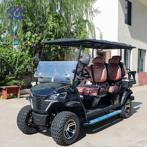 नई डिजाइन की गई गैसोलीन गोल्फ कार्ट गैस से चलने वाली बग्गी स्ट्रीट कानूनी रूप से लक्जरी गोल्फ कार - Product Image 4