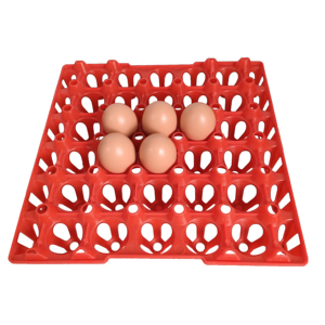 Accessori per pollaio da cortile vassoio in plastica colorata vassoio per uova di gallina per uova di pollame trasferibili LMC-08 - Product Image 5