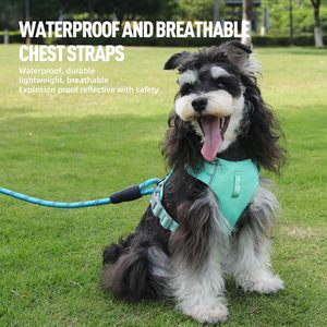 Harnais de chien rembourré doux, réglable, respirant, imperméable, en PVC et silicone, résistant, tactique, avec logo personnalisé - Product Image 4