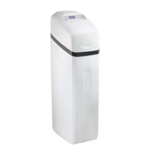 [NW-SOFT-BX2] 2000L par heure système d'adoucisseur d'eau résidentiel de régénération automatique